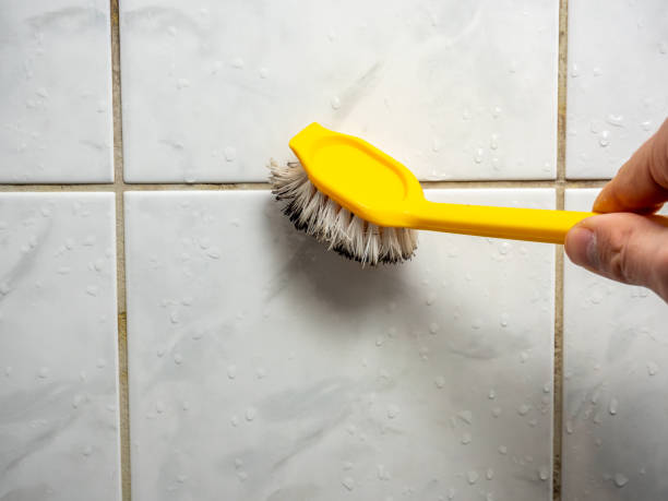 Mold Testing and Removal in Omro, WI