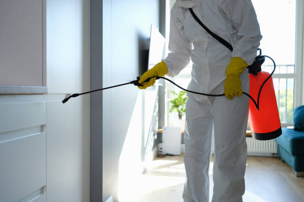 Best Local Mold Removal Service  in Omro, WI