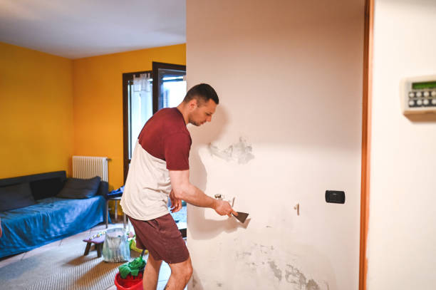 Best Mold Removal Near Me  in Omro, WI