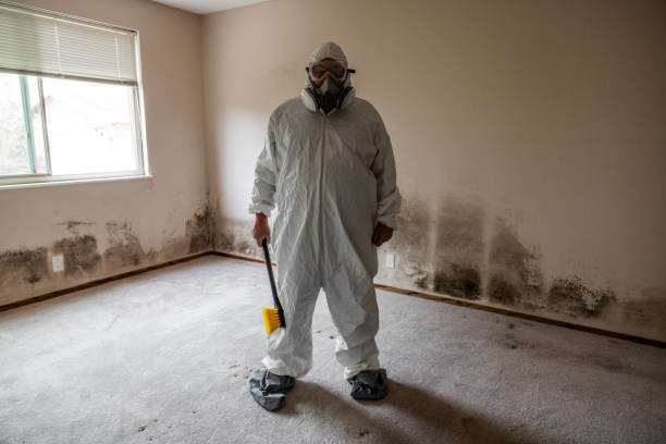 Best Certified Mold Removal  in Omro, WI